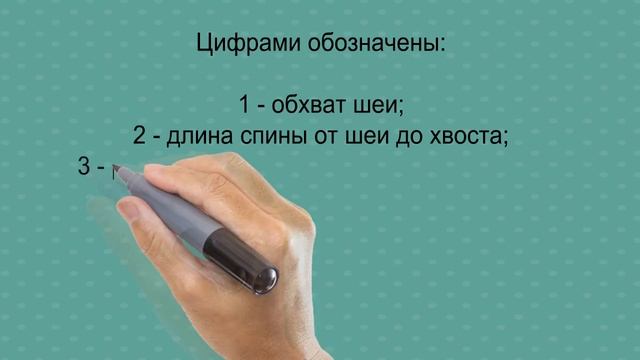 Одежда для собак! Вязаная попона для собак! Одежда для собак своими руками! смотреть онлайн