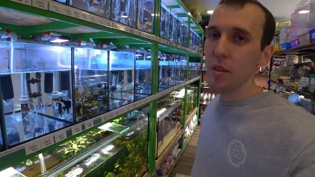 Приехали новые рыбки. Распаковываем большую партию. Обзор Новинок смотреть онлайн