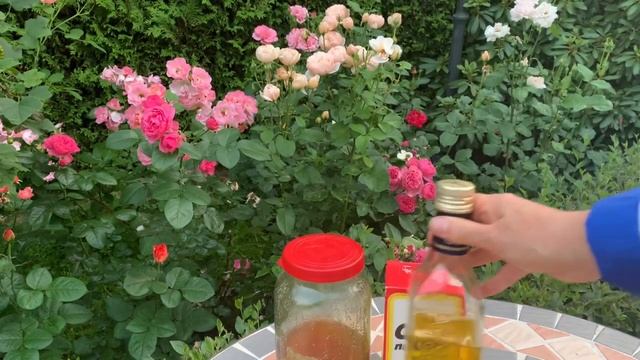 Деревенский долгожитель вылечил гайморит, хронический насморк, выгнал слизь из горла!Простой способ смотреть онлайн