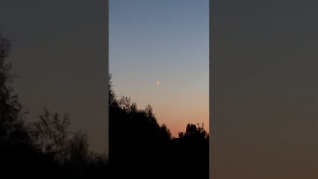 Луна или месяц 🌙 вид из окна #природа #эстетика #2023 #могилев #милалайф смотреть онлайн