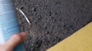 Новый Тигуан 2021. Чистка кондиционера.