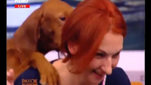 (23.12.2017 р.) Угорські вижли Фаня і Плюша смотреть онлайн