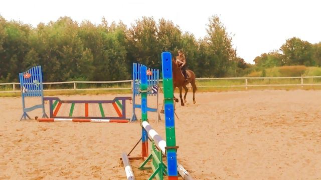 Конный спорт смотреть онлайн