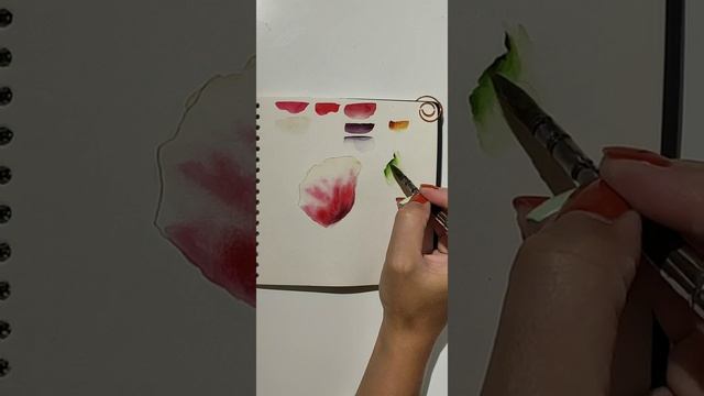 Прямой эфир по четвертому заданию летнего марафона ботаники. смотреть онлайн