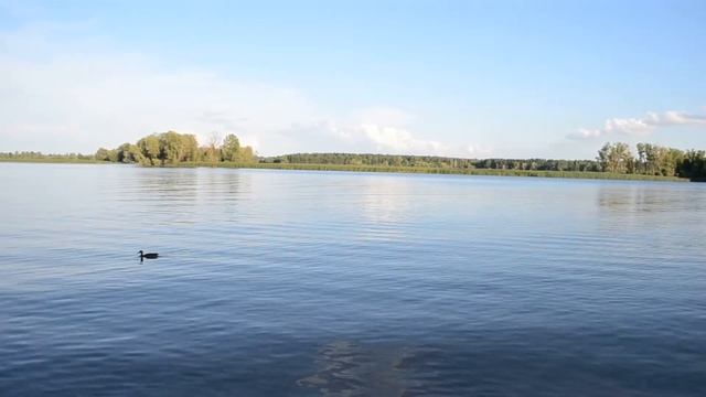 Димитровград-2020 Река Б.Черемшан Июль смотреть онлайн