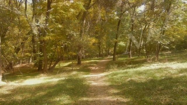 81. Пишпек-Фрунзе-Бишкек. История о том, как ботаник перехитрил всех чиновников, и внес свой вклад. смотреть онлайн