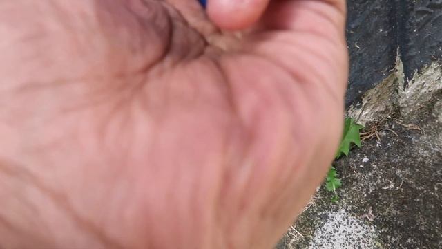 SUZUKI DR650 - My new bike has arrived ! смотреть онлайн