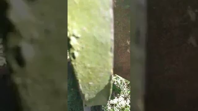 Конный плуг к мотоблоку, установка и регулировка смотреть онлайн