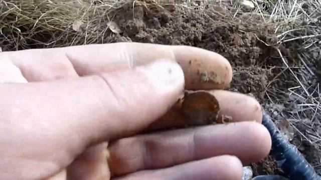 Страшный лес Видео коп смотреть онлайн