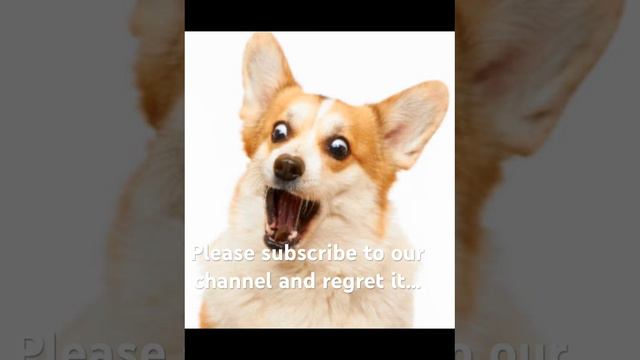 2 February 2024 смотреть онлайн