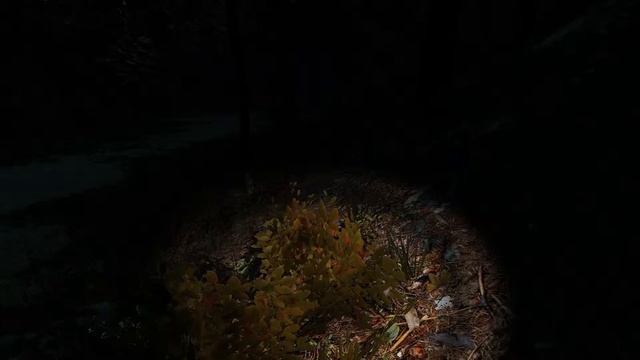 Let's play: Passing Pineview Forest (Free Steam Game) смотреть онлайн