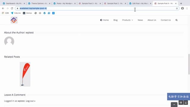 WordPress从零开始外贸建站教程：post themes options 全局设置 смотреть онлайн