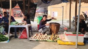 Harvest bamboo shoots and sugar cane to sell in the market, Fertilize and weed corn | Lý Thị Ninh