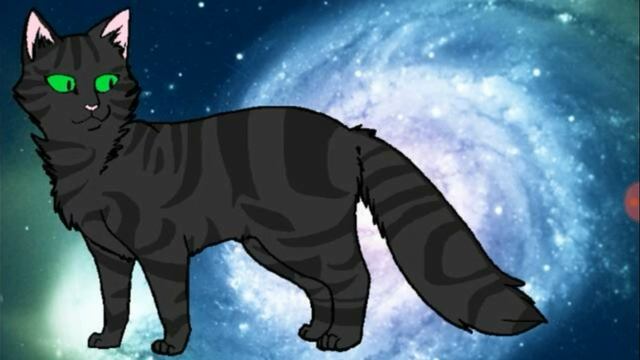 Угадай кота воителя ( средний) смотреть онлайн