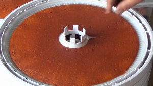 Домашняя пастила. Пастила в сушилке.