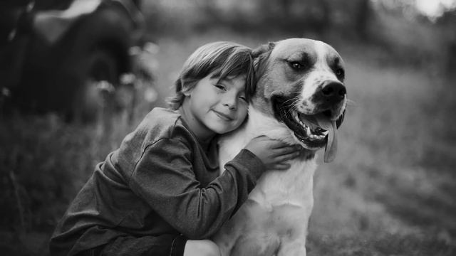 Вот почему стоит боятся черных собак с белым кончиком хвоста смотреть онлайн