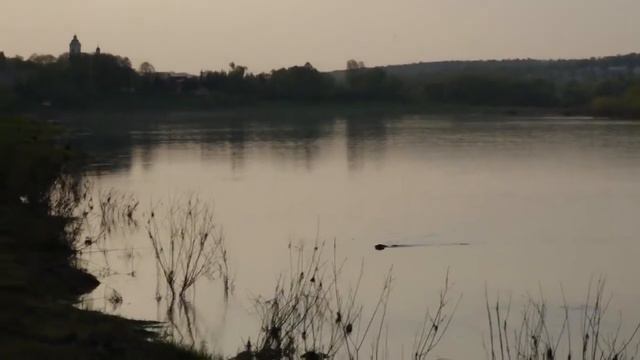 Russian cam fail fake video Loch Ness Monster Лох Несское чудовище оно приближается! 네스호의 괴물 смотреть онлайн