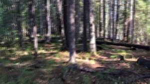 Охота на утку с пневматикой Kral Puncher Breaker 3, калибр 5.5