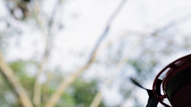 Загадочные Колибри: 20 Удивительных Фактов о Мире Маленьких Птиц смотреть онлайн