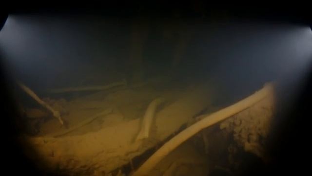 Pallada смотреть онлайн