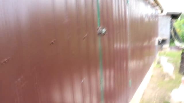 Утки - Муларды. Содержание. Весь цикл жизни. смотреть онлайн