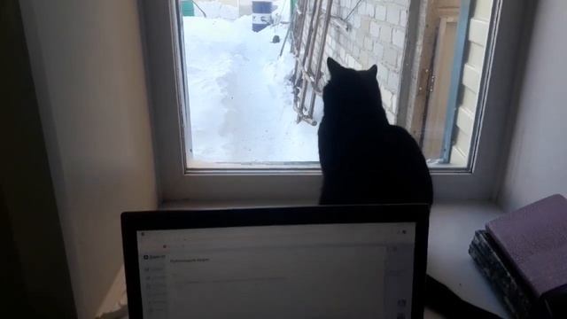 РАМКА ИЗ ПОТОЛОЧНОГО БАГЕТА. #агропоника для курей. смотреть онлайн