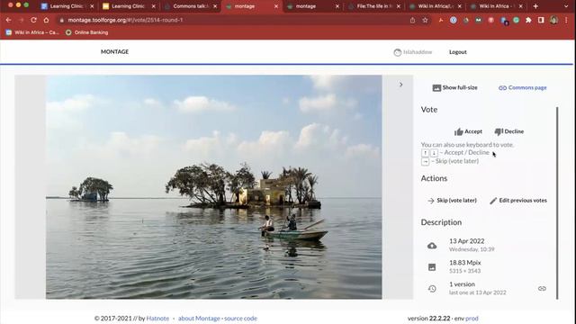 Montage demo (photo contest jury tool): Let’s Connect Learning Clinic with Wiki in Africa смотреть онлайн