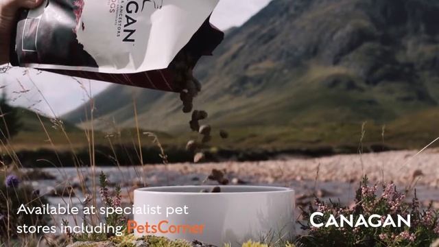 Canagan 30 Seconds смотреть онлайн