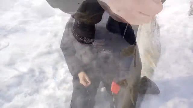 18/02/2017 озеро Султанкелди смотреть онлайн