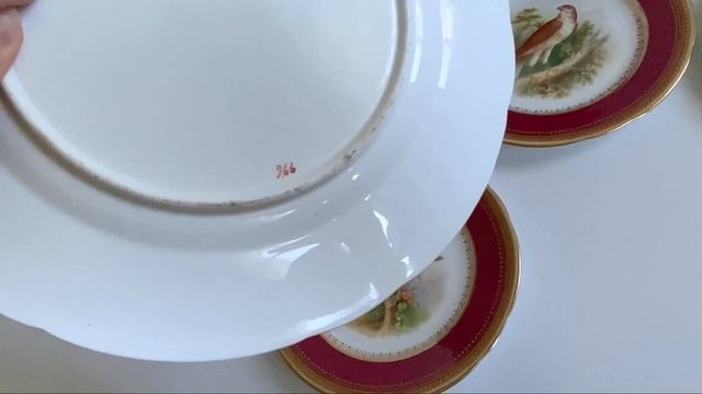 Живописный орнитологический сервиз 19 века