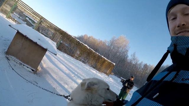 Поездка в приют смотреть онлайн