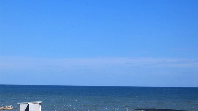 Azovskaya Krevetka 2018