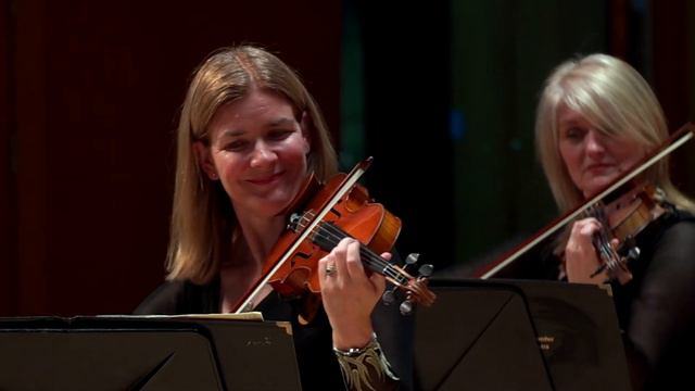 Ennio Morricone - Cinema Paradiso Love Theme Performed By The Irish Chamber Orchestra