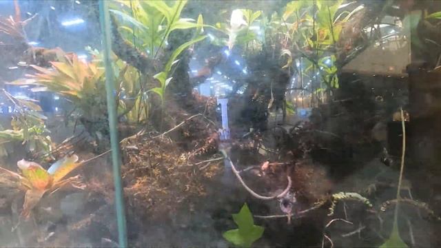 Dragonmart | Dubai International City смотреть онлайн