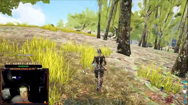 🛑СТРИМ ПО ARK:Survival Evolved / ПРОДОЛЖАЕМ ПОТИХОНЬКУ ПОЗНАВАТЬ МИР АРКА / ИГРА НА ТОЛЬКО НА ОФЕ смотреть онлайн