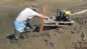 Хозяйство Воронова | Пруд | Откачиваю пруд мотопомпой и вынимаю всю рыбу