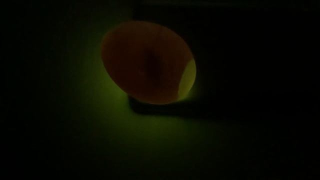 Динозаврик в яйце смотреть онлайн