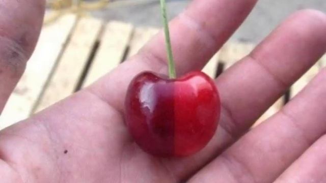 Рай перфекционистов среди обычных вещей смотреть онлайн