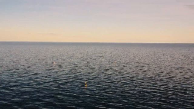 Рыбалка на Чудском озере на рыболовную сеть. смотреть онлайн