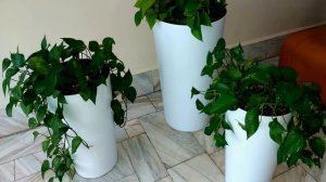 Санаторий "КРУГОЗОР" (г. Кисловодск) Отзыв.( март 2021 г)