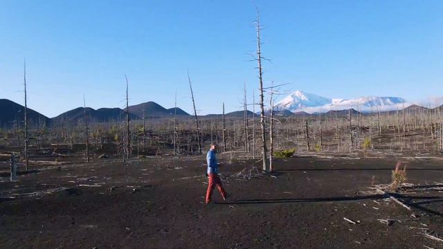 Плоский Толбачик