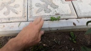 Почему разваливается тротуар и тротуарная плитка