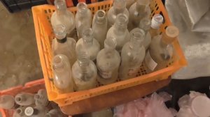 1.жидкий мицелий ( начальный этап , альтернатива пробкам и тд)