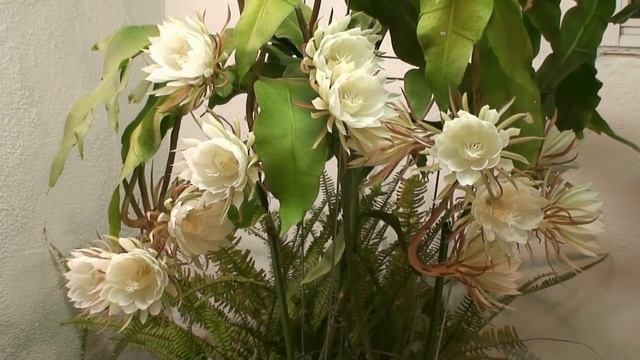 Queen of the Night (Epiphyllum Oxypetalum) 2010 смотреть онлайн