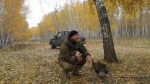 Охота на бобра с ружьем 2021| Охота на бобра проходными "гуманными" капканами| Трофейный бобр