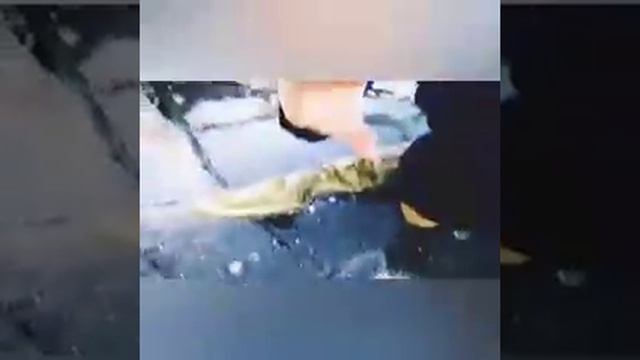 Проверяем толщину льда смотреть онлайн