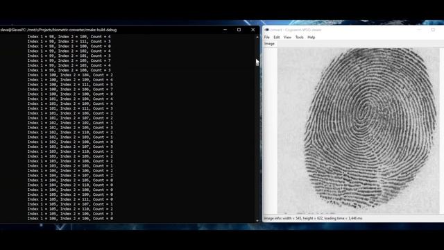 Fingerprint conversion from WSQ to ANSI INCITS 378-2004 or ISO/IEC 19794-2:2005 demo смотреть онлайн