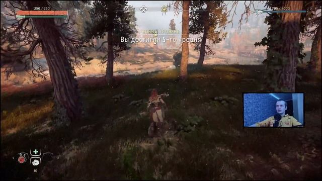 Прохождение На Стриме Horizon Zero Dawn #1 Пройдем пока Не Вышла Forbidden West смотреть онлайн