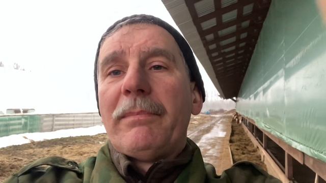 Сыропригодное молоко - что это такое, как его получить? смотреть онлайн