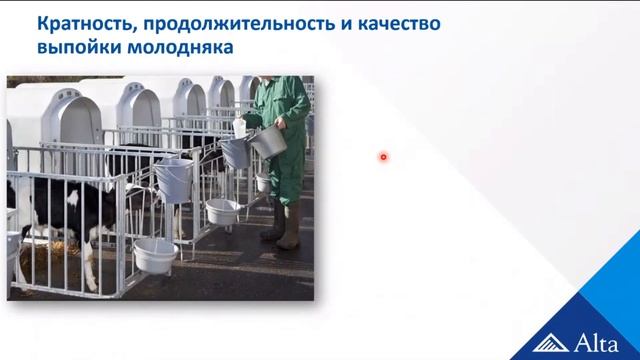 Умные технологии на ферме. Дорога к большому молоку. Молодняк. смотреть онлайн